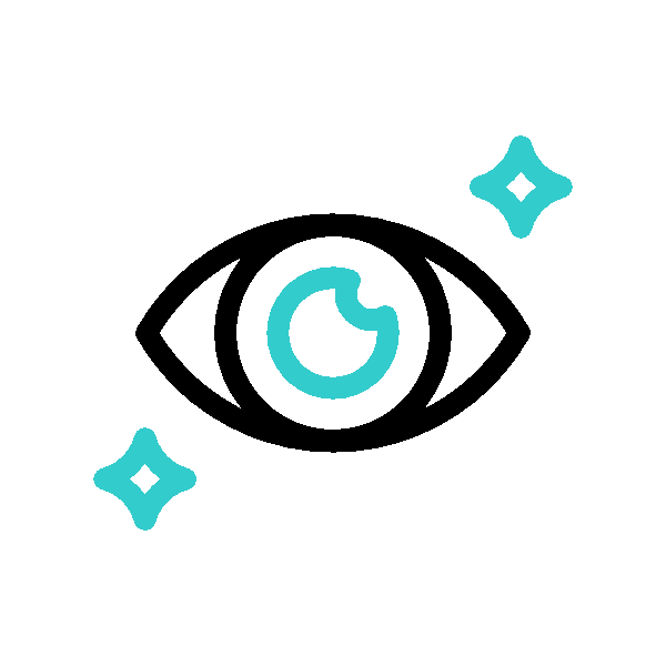Vision Icon